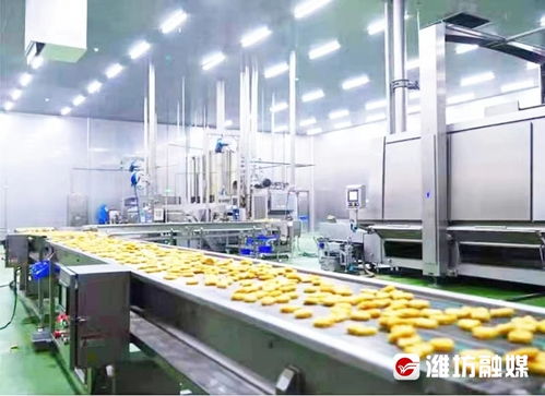 村村有好戲 田疇沃野繪出別樣 振興圖