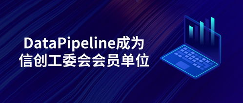 datapipeline正式成為信創(chuàng)工委會(huì)會(huì)員單位，致力為世界級(jí)用戶(hù)提供更優(yōu)質(zhì)產(chǎn)品和服務(wù)