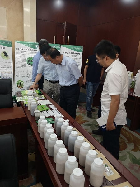 天敵昆蟲(chóng)防控技術(shù)研發(fā)項(xiàng)目通過(guò)中期檢查，網(wǎng)絡(luò)技術(shù)賦能綠色農(nóng)業(yè)發(fā)展